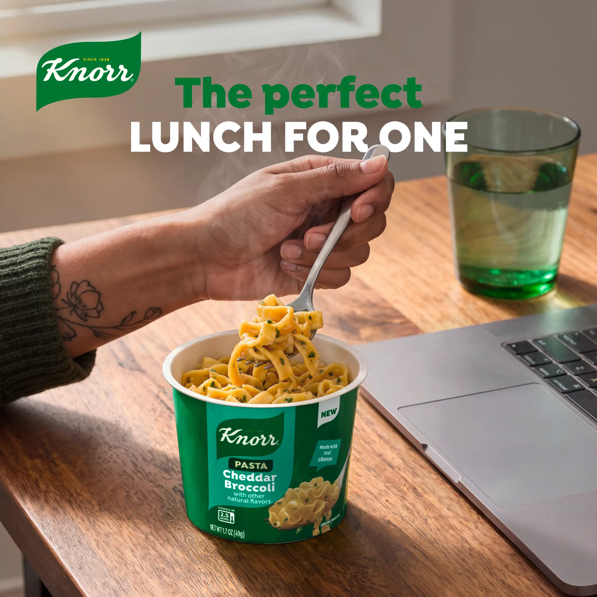 Knorr — CHEDDAR BROCCOLI — LUNCH FOR ONE