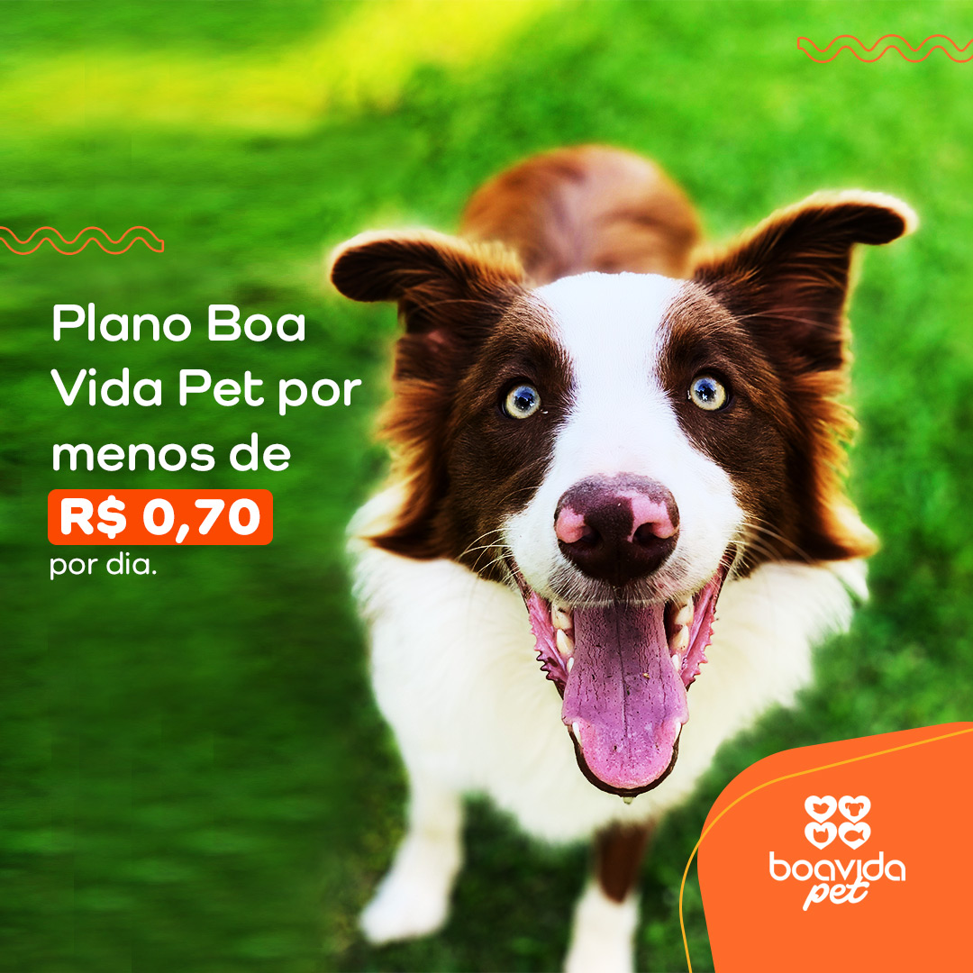 Boa Vida Pet A/B test — version A