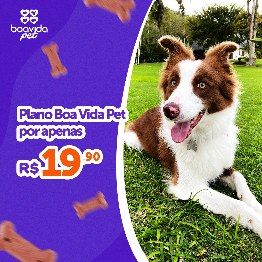 Boa Vida Pet A/B test — version B